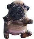 Pibble