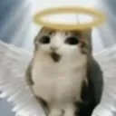 meowlO