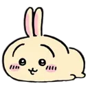 usagi1