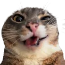 rigbysmile