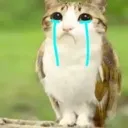 wah