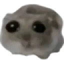 oh