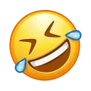 rollingonthefloorlaughing_1f923