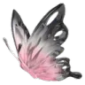 05_butterfly