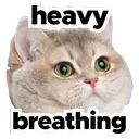 heavybreathingcat