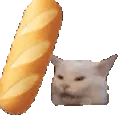 baguettebonk baguettebonk