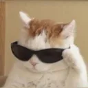 SunglassesCat