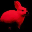 demonicfuckingraboge