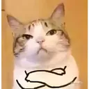 a26fbaaee2fcaf96c72f8b57fa8186b0