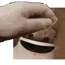 PetTheSnoof