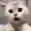 emoji_19