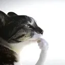 mhhhhmmm
