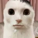 Yodafr