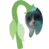 wilted_gulp