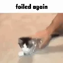 foiledcat foiledcat