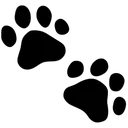 blackpaws