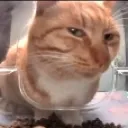 side_eye