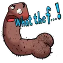 whatthefck Discord Emoji - ・┆✦ʚ  Klejnoty  ɞ✦ ┆・