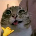 __