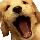 Dave