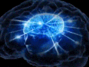 brain