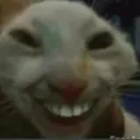 zfunny_evil_catlaugh zfunny_evil_catlaugh