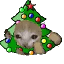 catrun_xmas