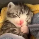 sleep_well