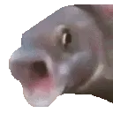 poggerfish_Dot_GG_femboiss