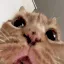 goober