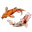 koifish2