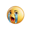 irlcry