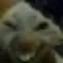 XDX