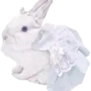 a9_2bwunni_dns