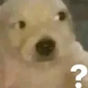 perrowhat