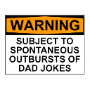 dadjoke Discord Emoji | ・┆✦ʚ  Klejnoty  ɞ✦ ┆・