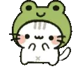 frogcatdance