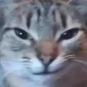 bladesmirk