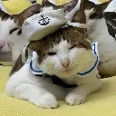 SailorBao