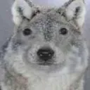 1330214862298677420