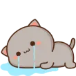 cry1