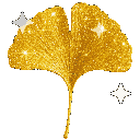 0GinkgoGoldBling