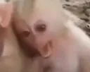 AAAAAAAAAAAAAAAAAAAAAAAAA AAAAAAAAAAAAAAAAAAAAAAAAA
