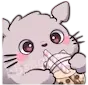 GC_TotoroBoba