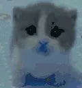 socold