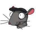 RIRAT