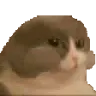 cat_nom