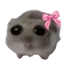 hampter_uwu