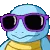 CoolSquirtle
