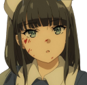 AkagiNurse Discord emoji
